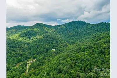 600 Charisma Drive, Marshall, NC 28753 - Photo 6