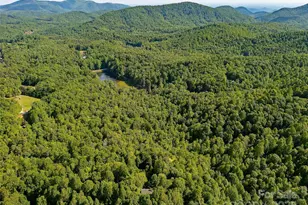 151 Heatherly Heights Rd, Saluda, NC 28773 - Photo 38