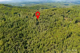 151 Heatherly Heights Rd, Saluda, NC 28773 - Photo 44