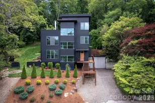 53 Buchanan Pl, Asheville, NC 28801 - Photo 4