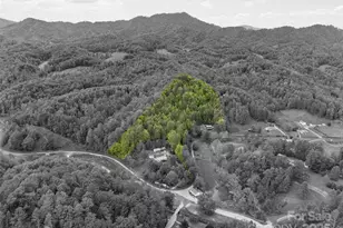 0000 Jacks Creek Rd, Burnsville, NC 28714 - Photo 4