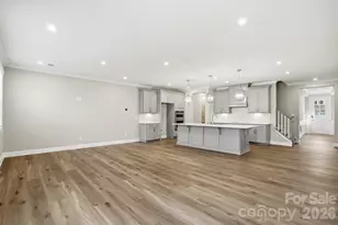 12047 Lavinia Ln, Charlotte, NC 28277 - Photo 4