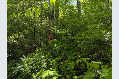 99999 Prospectors Trail, Black Mountain, NC 28711 - Photo 2