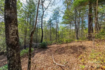 18 Walnut Ridge Way #2.65 Acres, Lenoir, NC 28645 - Photo 2