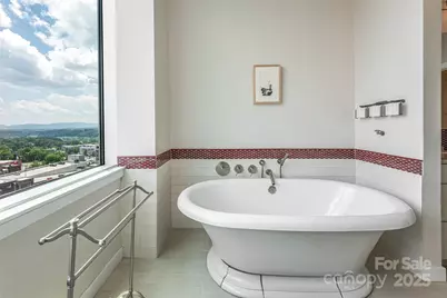 151 Haywood Street #1002, Asheville, NC 28801 - Photo 16