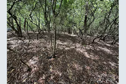 Tbd Tellico Trail #42/22, Brevard, NC 28712 - Photo 4