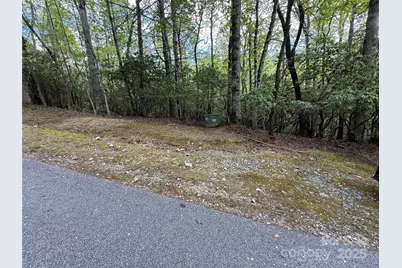 Tbd Tellico Trail #42/22, Brevard, NC 28712 - Photo 1