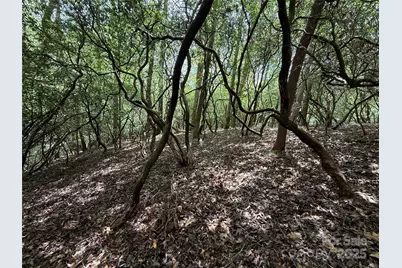 Tbd Tellico Trail #42/22, Brevard, NC 28712 - Photo 6