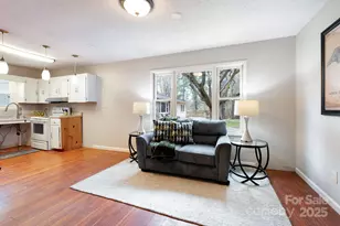 1211 & 1213 Upper Brush Creek Rd, Fairview, NC 28730 - Photo 30