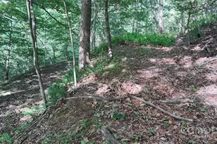 7881 US 25/70 Hwy, Marshall, NC 28753 - Photo 36