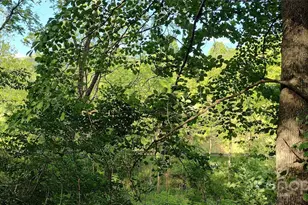 7881 US 25/70 Hwy, Marshall, NC 28753 - Photo 38