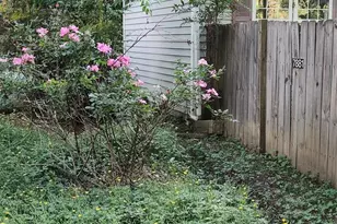 7881 US 25/70 Hwy, Marshall, NC 28753 - Photo 8