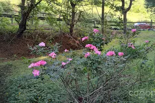 7881 US 25/70 Hwy, Marshall, NC 28753 - Photo 26