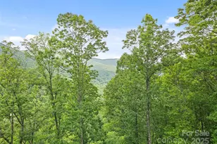 20A Lila Ln, Clyde, NC 28721 - Photo 2