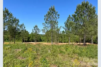 2200 Oweda Drive, Conover, NC 28613 - Photo 10