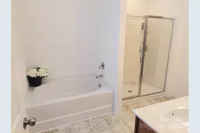 2061 Argentum Avenue, Fort Mill, SC 29707 - Photo 6