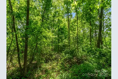 00 Hamilton Acres Drive, Hendersonville, NC 28792 - Photo 10