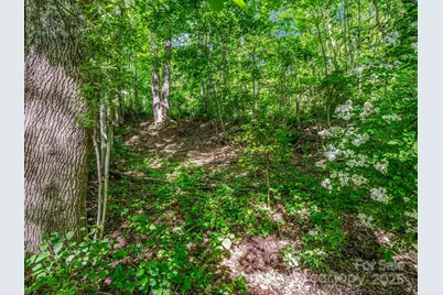 00 Hamilton Acres Drive, Hendersonville, NC 28792 - Photo 8