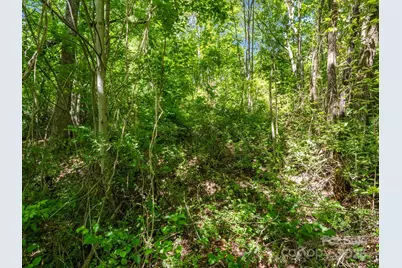 88 Hamilton Acres Drive, Hendersonville, NC 28791 - Photo 12