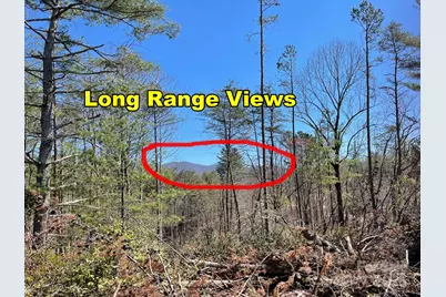 83 Union Chapel Road, Weaverville, NC 28787 - Photo 2