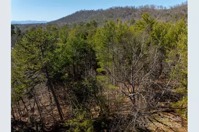 83 Union Chapel Road, Weaverville, NC 28787 - Photo 4