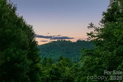 20 East Owl Creek Lane, Fairview, NC 28730 - Photo 40