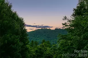 20 E Owl Creek Ln, Fairview, NC 28730 - Photo 40