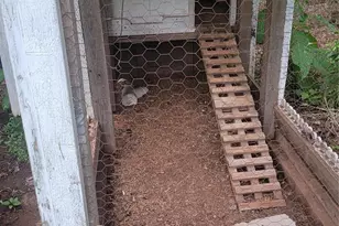 8282 Park Edwards Rd, Kannapolis, NC 28081 - Photo 44