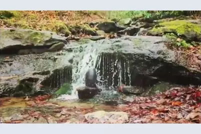 129 Mount Soma Boulevard, Clyde, NC 28721 - Photo 18