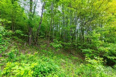 129 Mount Soma Boulevard, Clyde, NC 28721 - Photo 8