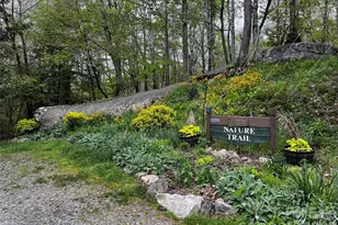 1 Pearl Way, Mars Hill, NC 28754 - Photo 14