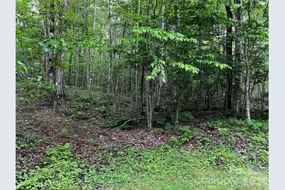 1 Pearl Way, Mars Hill, NC 28754 - Photo 4