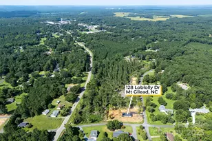 128 Loblolly Dr, Mount Gilead, NC 27306 - Photo 4