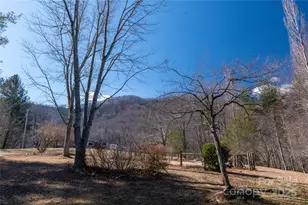 120 Powderhorn Drive\, Burnsville, NC 28714 - Photo 44