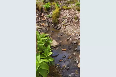 Lot 38 Poplar Forest Drive, Boone, NC 28607 - Photo 6