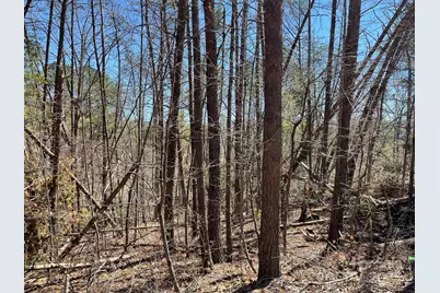 84 Union Chapel Road, Weaverville, NC 28787 - Photo 10