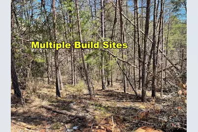 84 Union Chapel Road, Weaverville, NC 28787 - Photo 16