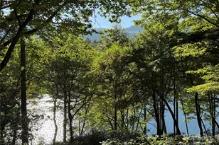 1957 Cold Mountain Rd, Lake Toxaway, NC 28747 - Photo 2