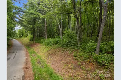 000 Red Fox Lane #18, Flat Rock, NC 28731 - Photo 16