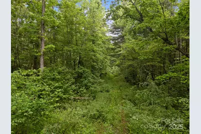 000 Red Fox Lane #18, Flat Rock, NC 28731 - Photo 14