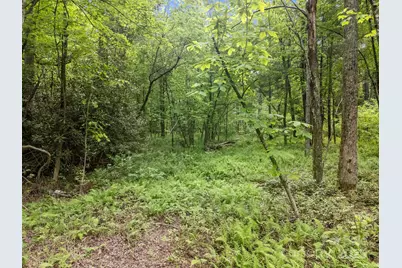 000 Red Fox Lane #18, Flat Rock, NC 28731 - Photo 12