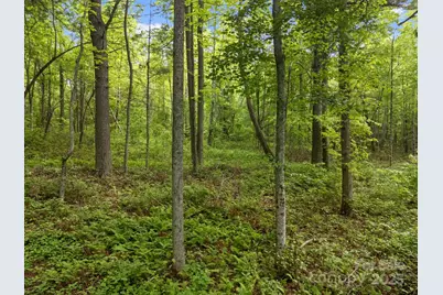 000 Red Fox Lane #18, Flat Rock, NC 28731 - Photo 22