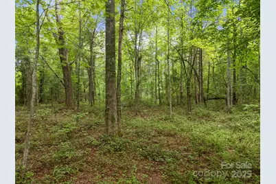 000 Red Fox Lane #18, Flat Rock, NC 28731 - Photo 24