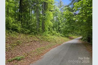 000 Red Fox Lane #19, Flat Rock, NC 28731 - Photo 24