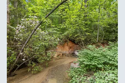 000 Red Fox Lane #19, Flat Rock, NC 28731 - Photo 12