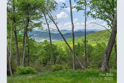 000 Hemlock Grove Trail #51, Hendersonville, NC 28792 - Photo 1