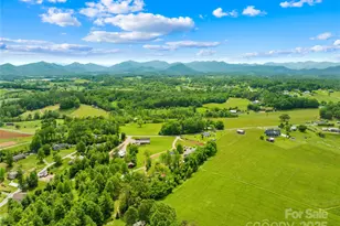 16 Julep Dr, Alexander, NC 28701 - Photo 34