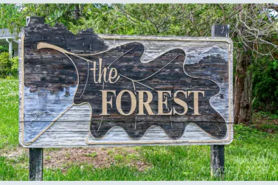 99999 Black Oak Drive #13, Asheville, NC 28804 - Photo 14