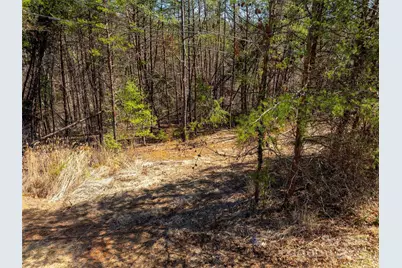 85 Union Chapel Road, Weaverville, NC 28787 - Photo 18