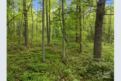 000 Red Fox Lane #17, Flat Rock, NC 28731 - Photo 20